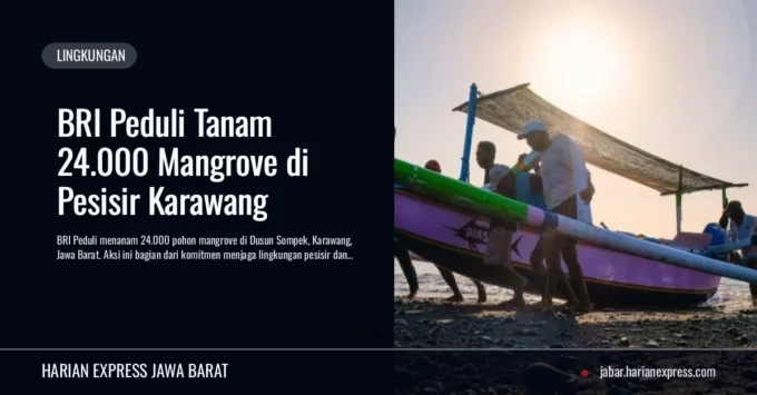 BRI Peduli Tanam 24.000 Mangrove di Pesisir Karawang