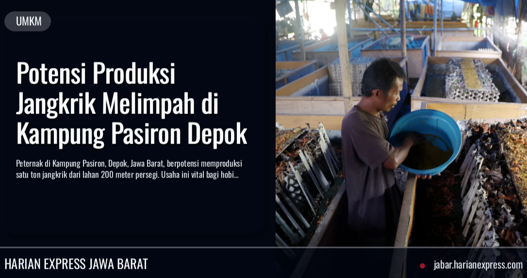 Potensi Produksi Jangkrik Melimpah di Kampung Pasiron Depok