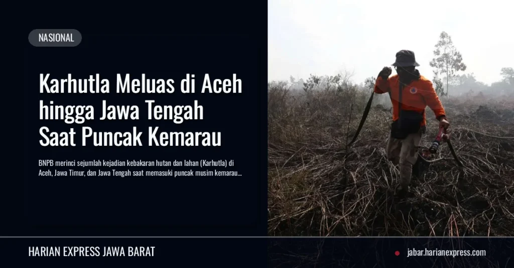 Karhutla Meluas di Aceh hingga Jawa Tengah Saat Puncak Kemarau