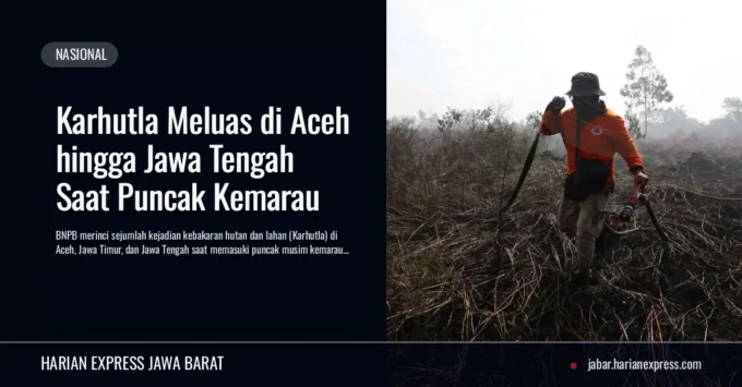 Karhutla Meluas di Aceh hingga Jawa Tengah Saat Puncak Kemarau