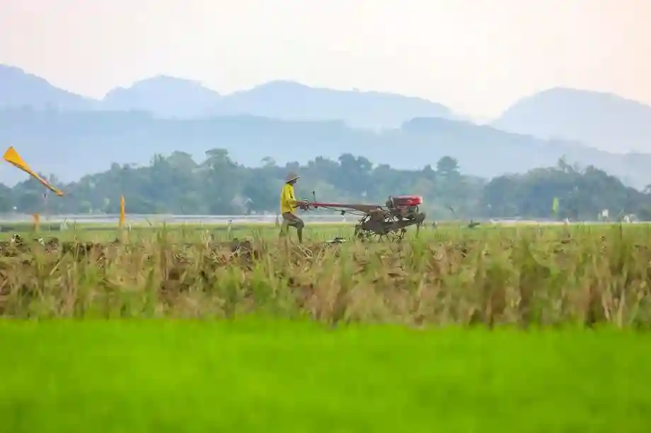 Dampak Kemarau Dini, Petani Garut Diimbau Beralih Tanam Selain Padi