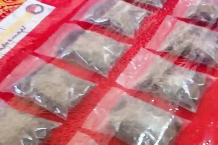Polisi Gagalkan Peredaran 15 Kg Ganja di Cianjur