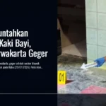 Biawak Muntahkan Potongan Kaki Bayi, Warga Purwakarta Geger
