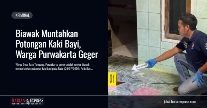 Biawak Muntahkan Potongan Kaki Bayi, Warga Purwakarta Geger