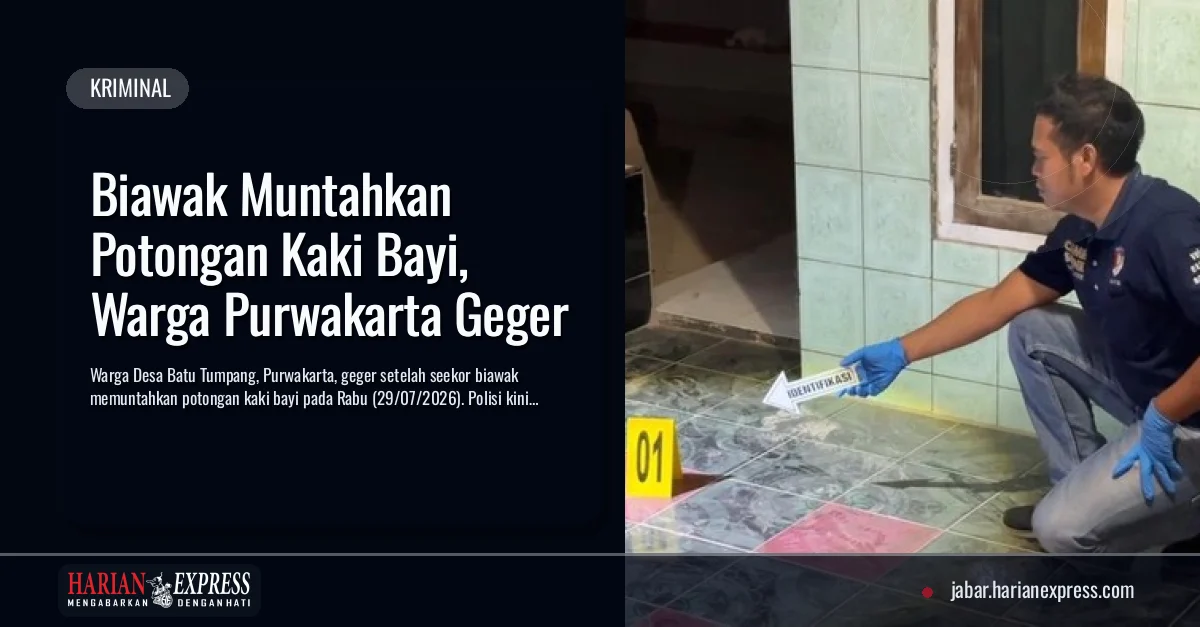 Biawak Muntahkan Potongan Kaki Bayi, Warga Purwakarta Geger