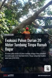 Evakuasi Pohon Durian 20 Meter Tumbang Timpa Rumah Bogor