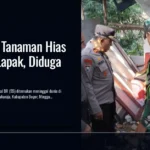 Pedagang Tanaman Hias Tewas di Lapak, Diduga Sakit