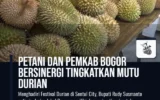 Petani dan Pemkab Bogor Bersinergi Tingkatkan Mutu Durian