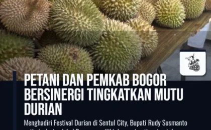 Petani dan Pemkab Bogor Bersinergi Tingkatkan Mutu Durian
