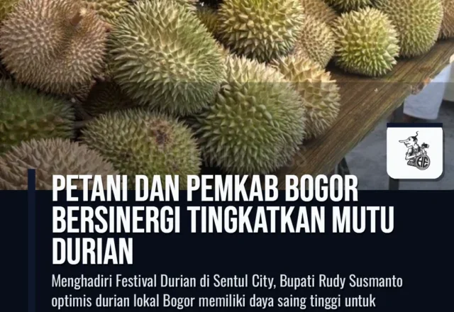 Petani dan Pemkab Bogor Bersinergi Tingkatkan Mutu Durian