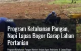 Program Ketahanan Pangan, Napi Lapas Bogor Garap Lahan Pertanian
