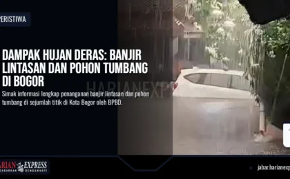 Dampak Hujan Deras: Banjir Lintasan dan Pohon Tumbang di Bogor