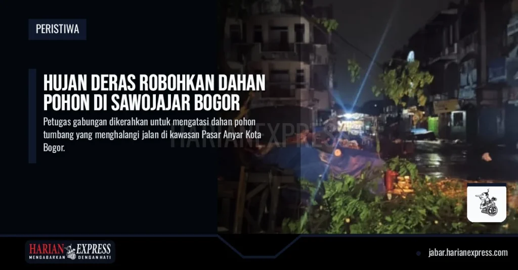 Hujan Deras Robohkan Dahan Pohon di Sawojajar Bogor
