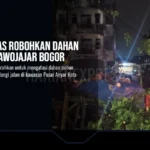 Hujan Deras Robohkan Dahan Pohon di Sawojajar Bogor