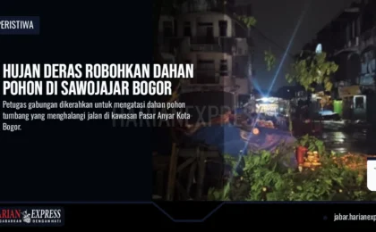 Hujan Deras Robohkan Dahan Pohon di Sawojajar Bogor Hujan Deras Robohkan Dahan Pohon di Sawojajar Bogor