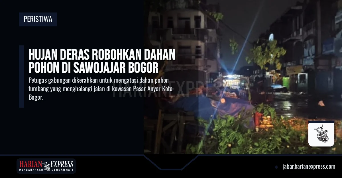 Hujan Deras Robohkan Dahan Pohon di Sawojajar Bogor