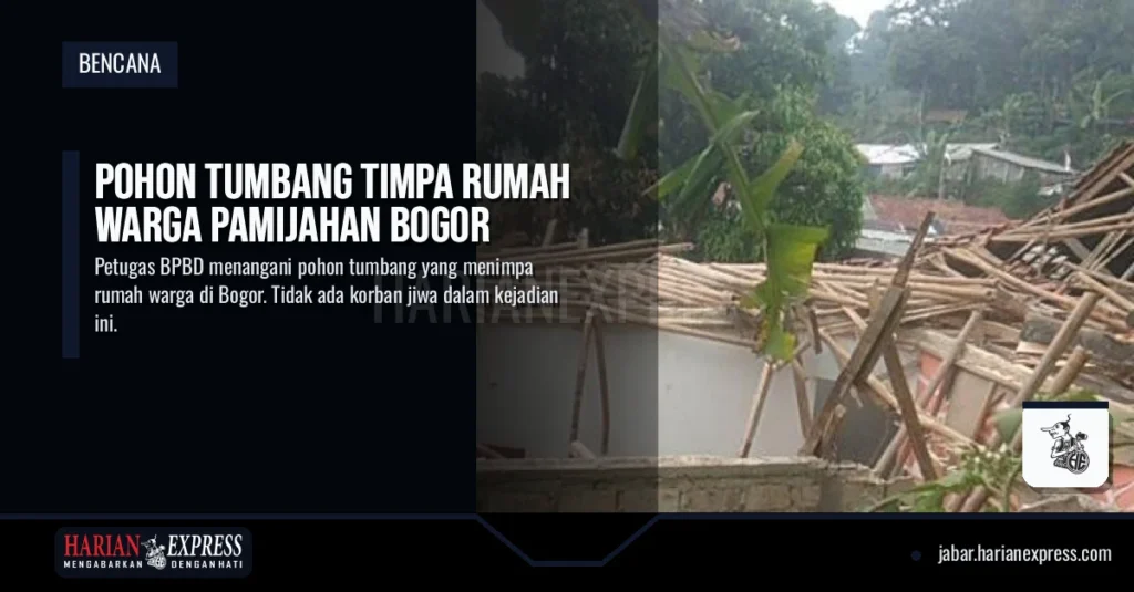 Pohon Tumbang Timpa Rumah Warga Pamijahan Bogor