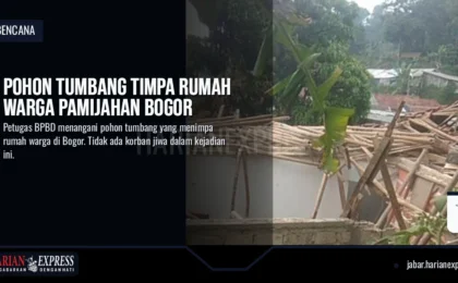 Pohon Tumbang Timpa Rumah Warga Pamijahan Bogor