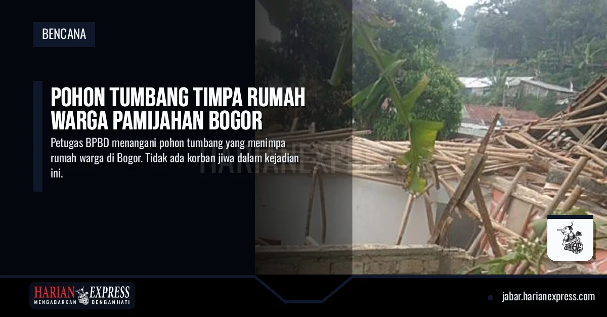 Pohon Tumbang Timpa Rumah Warga Pamijahan Bogor